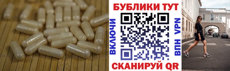 как найти закладки Кирсанов Экстази круглые