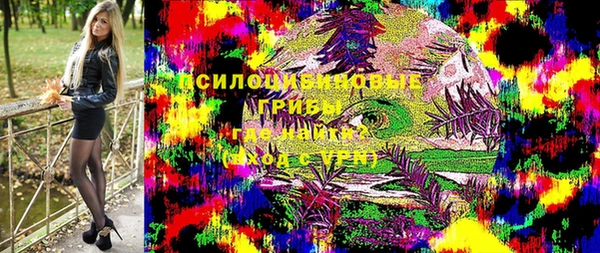ПСИЛОЦИБИНОВЫЕ ГРИБЫ Абаза