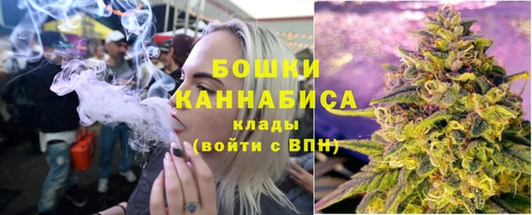 ПСИЛОЦИБИНОВЫЕ ГРИБЫ Абаза