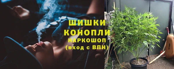 ПСИЛОЦИБИНОВЫЕ ГРИБЫ Абаза