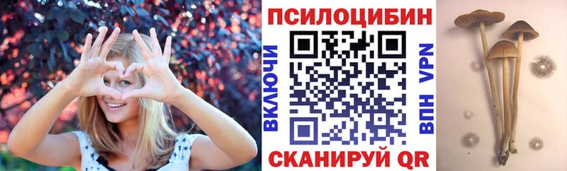 Галлюциногенные грибы Cubensis  Кирсанов 